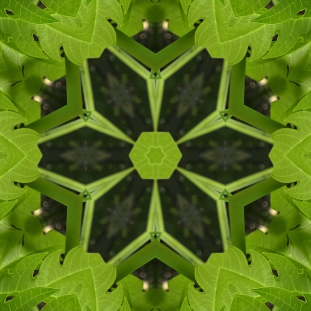 Foto um caleidoscópio de folhas é composto por uma folha verde