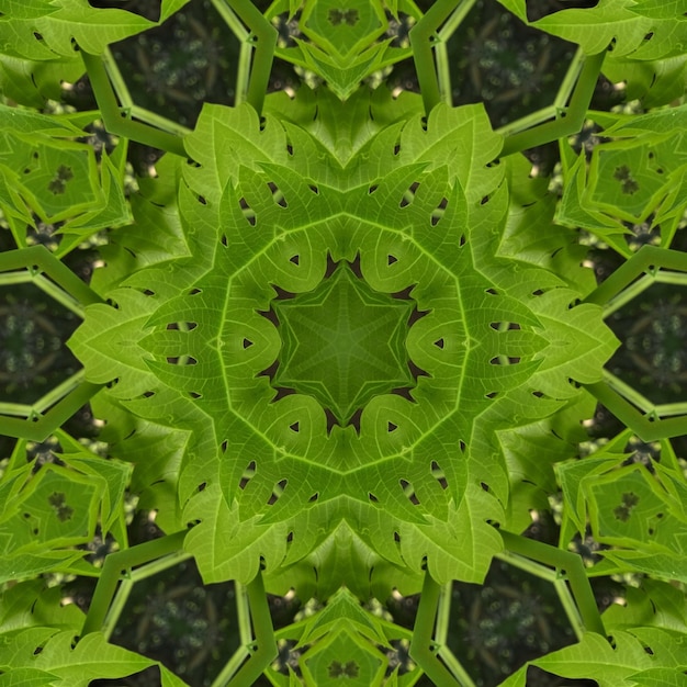 Foto um caleidoscópio de folhas é feito de um caleidoscópio de flores.