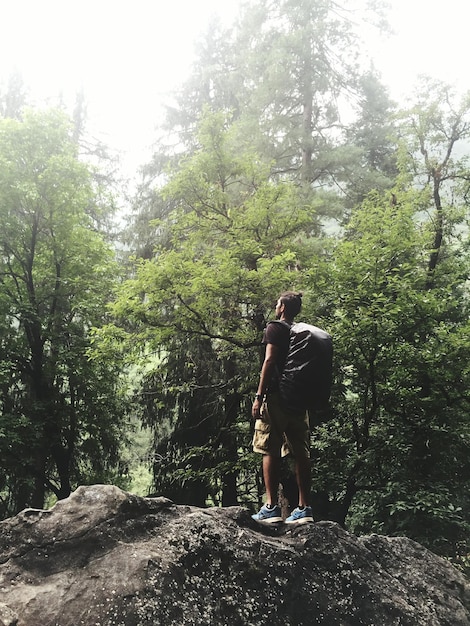 Um caminhante de pé em uma rocha contra árvores na floresta