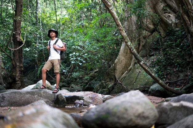 Foto um caminhante masculino, caminhadas na floresta