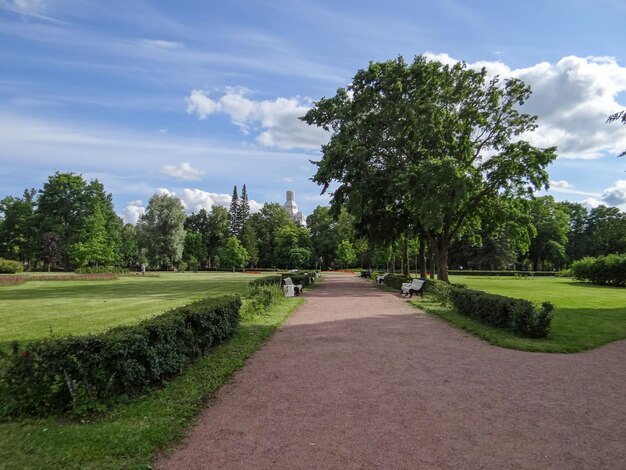 Um caminho através de um parque com uma árvore à direita