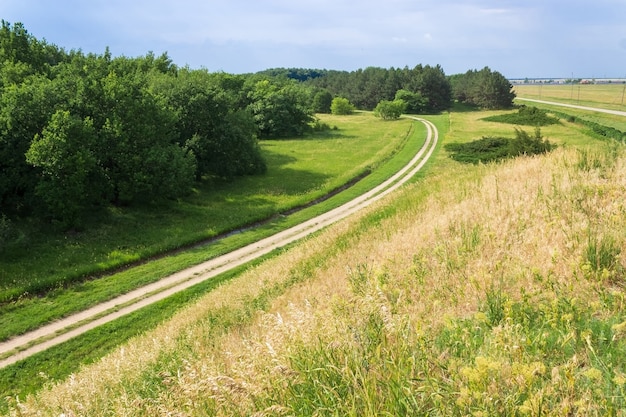 Um caminho entre campos e árvores no verão. Reserva Askania Nova na Ucrânia.