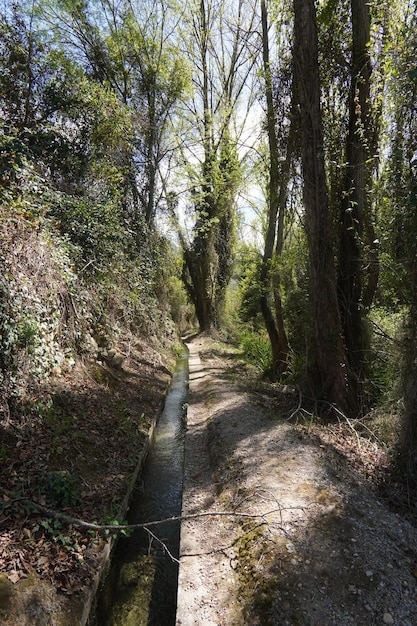 Um caminho pela floresta com árvores e uma placa que diz 'a estrada é uma '