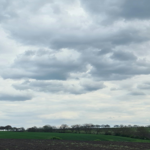 Um campo com algumas nuvens e uma árvore ao fundo