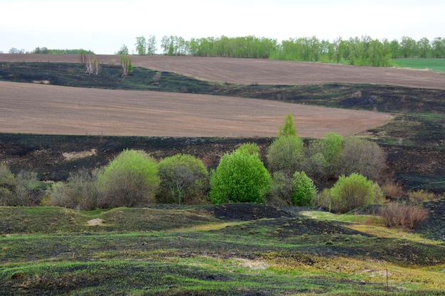 um campo com arbustos verdes e um campo depois do espaço de cópia de fogo