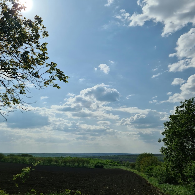 Um campo com céu azul e nuvens