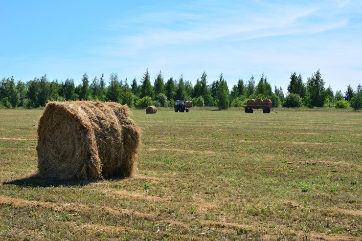 Foto um campo com fardos de feno e um trator azul e um céu azul ao fundo