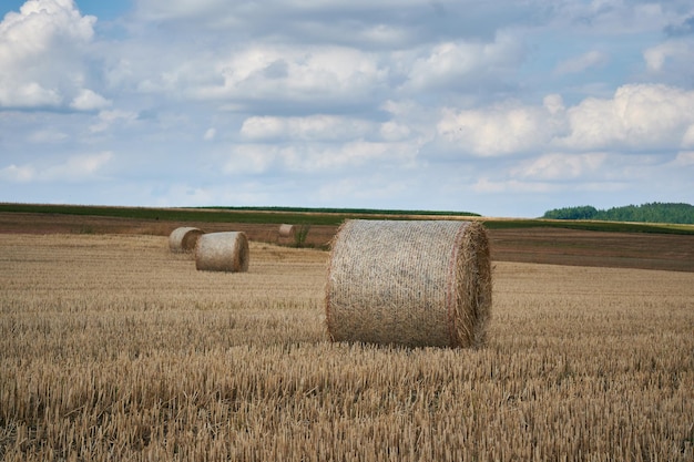 Um campo com fardos de feno na zona rural da Bélgica