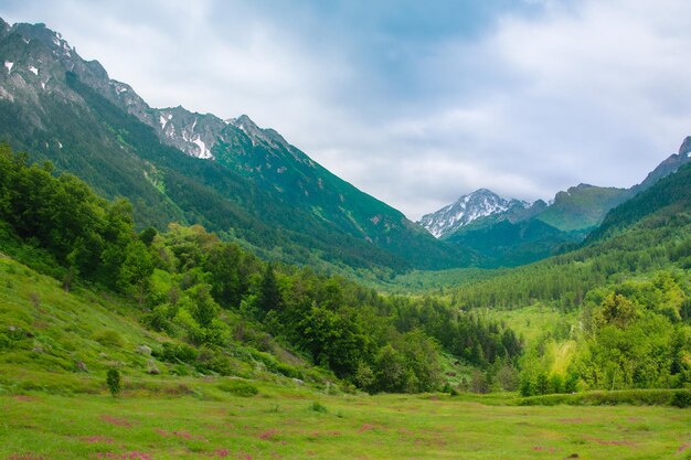 Foto um campo com montanhas ao fundo e um céu azul com nuvens