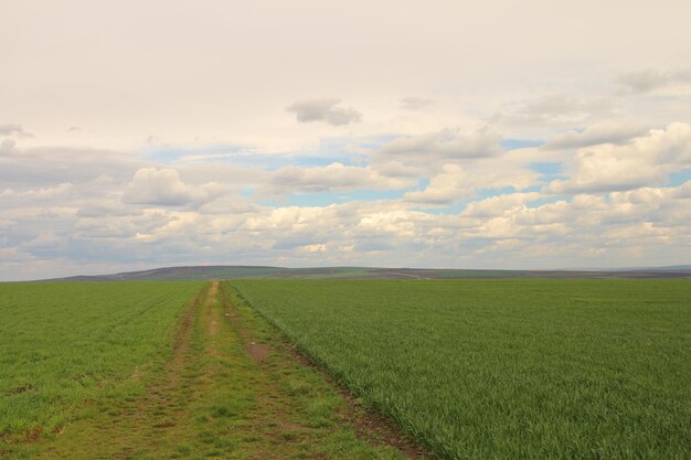 um campo com um caminho de terra que leva a um campo que tem uma estrada de terra nele