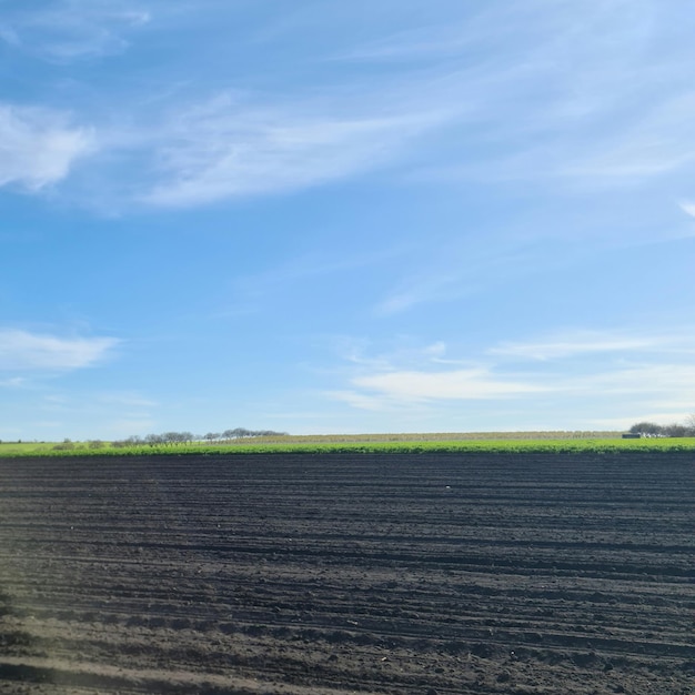 Um campo com um céu azul e um campo com um campo verde e um céu azul.