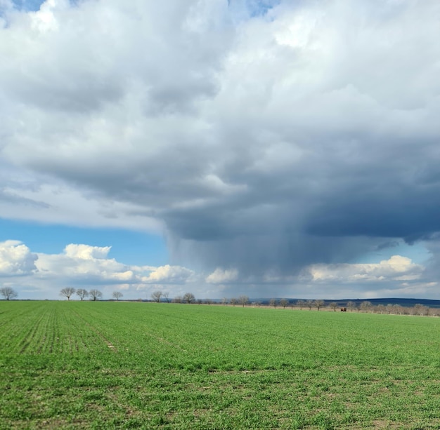 Um campo com um céu nublado e uma nuvem de chuva