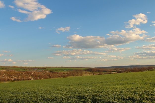 um campo com um céu que tem nuvens nele