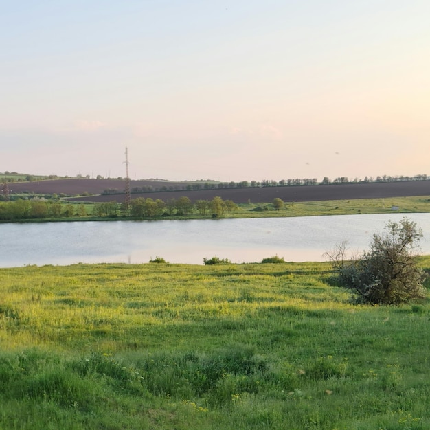 Um campo com um lago e um campo com um pássaro voando no céu.