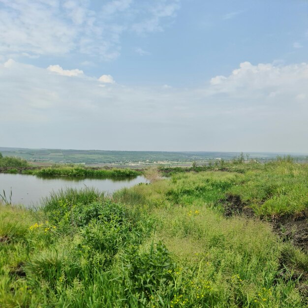 Um campo com um pequeno lago e um céu azul com nuvens brancas.