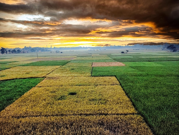 Um campo com um pôr do sol ao fundo