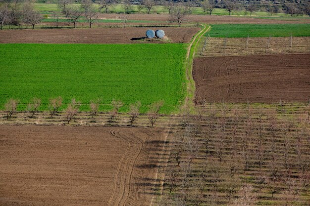 um campo com um trator e um campo com Um campo que tem um trator nele