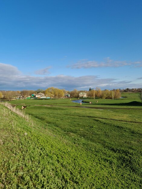 Um campo com uma casa ao fundo