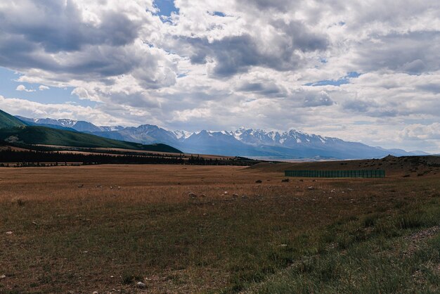 Foto um campo com uma montanha ao fundo