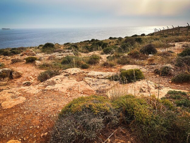 um campo com vista para o oceano e uma praia