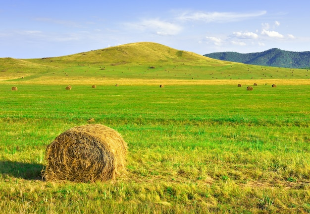 Um campo cortado entre as colinas no verão, sob um céu azul nublado. Sibéria, Rússia