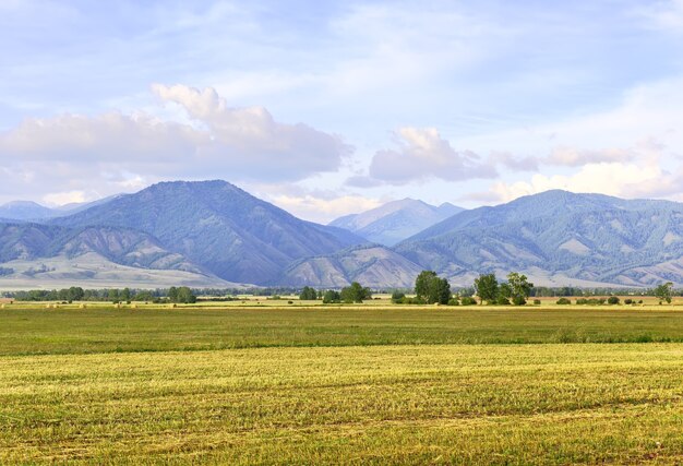 Um campo cortado entre as montanhas Altai sob um céu azul Sibéria Rússia