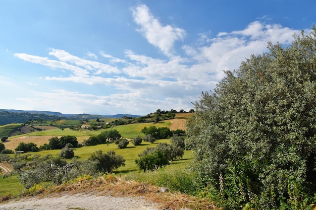 Um campo cultivado no campo siciliano, na província de Ragusa, na Itália