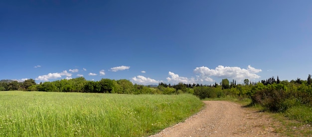 Um campo de ervilhas verdes contra estrada rural e céu azul com nuvens em uma vila grega na Grécia