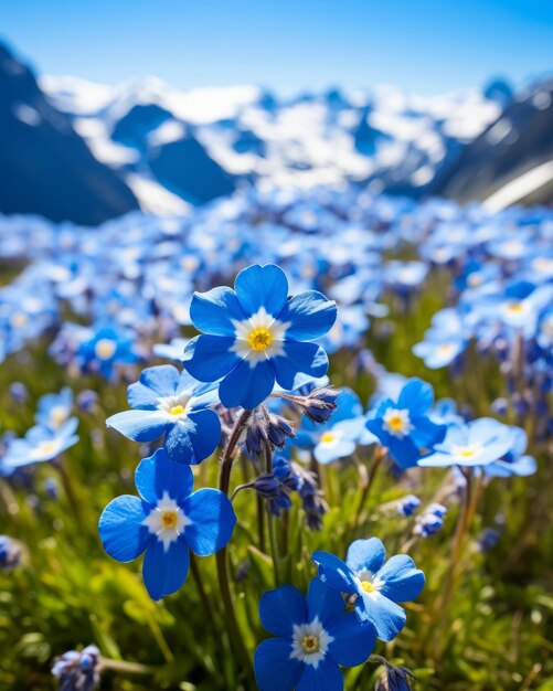 Um campo de flores azuis com montanhas ao fundo