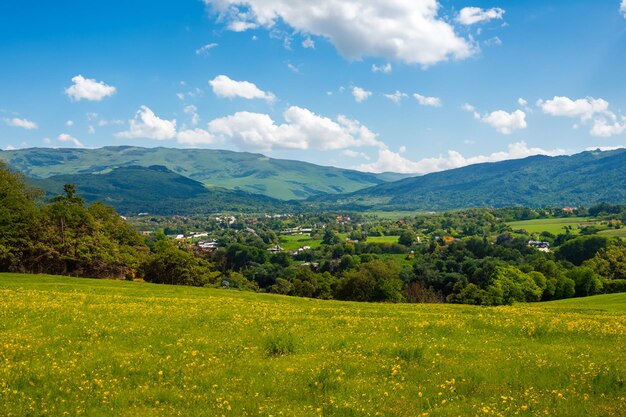 Foto um campo de flores silvestres com um céu azul e um campo verde com uma montanha no fundo