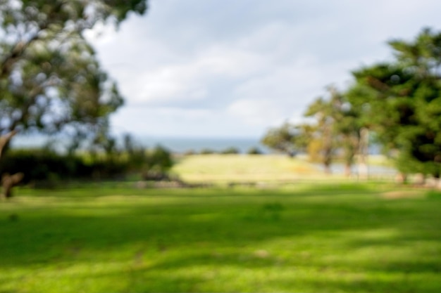 Um campo de golfe com árvores e um céu azul