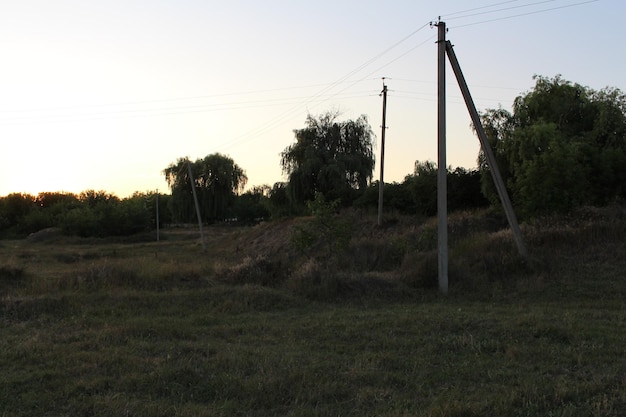 Um campo de grama com linhas elétricas e árvores