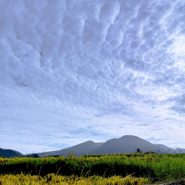 Foto um campo de grama e uma montanha com nuvens no céu