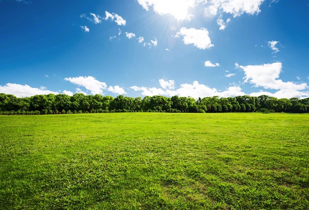 Foto um campo de grama verde com um céu azul e montanhas ao fundo