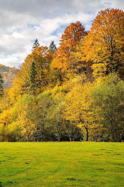 Um campo de grama verde perto da floresta de outono nas montanhas o céu com nuvens o outono é fundo vertical