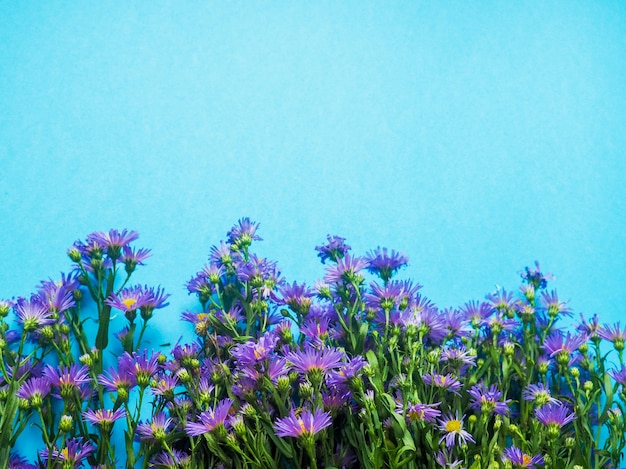 Um campo de pequenas flores azuis sobre um fundo azul