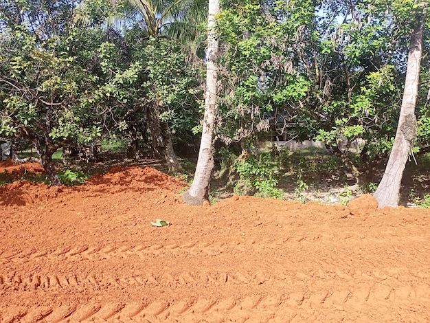 Um campo de solo vermelho na aldeia