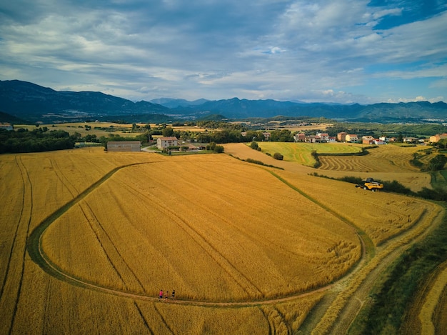 Um campo de trigo com uma montanha ao fundo