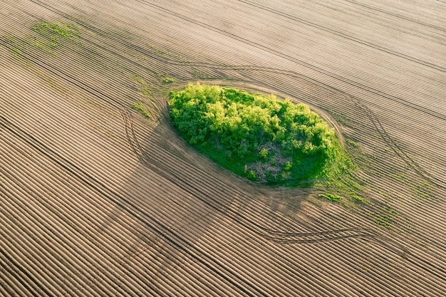 Um campo vazio não semeado e um gramado verde no meio de uma vista de drone