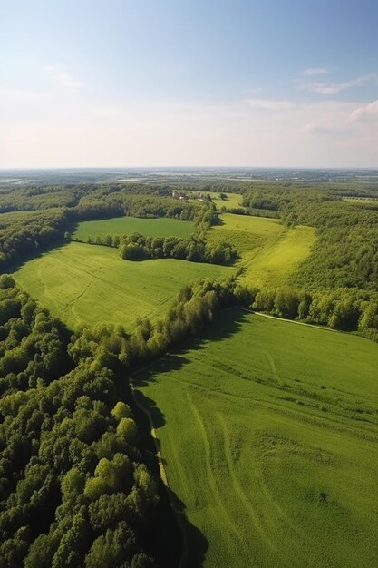 Um campo verde com árvores e um céu azul