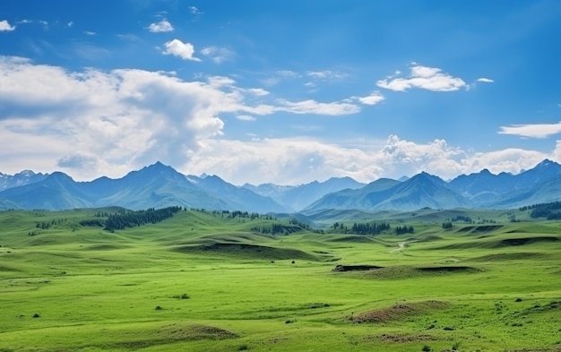 Foto um campo verde com montanhas ao fundo