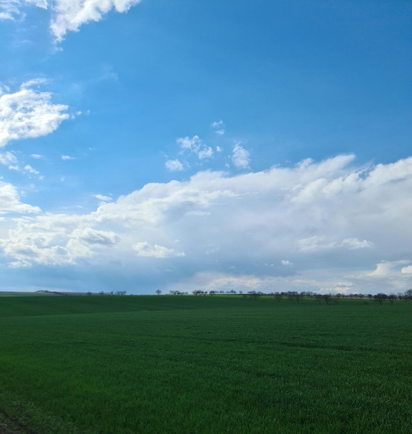 Um campo verde com um céu azul e nuvens