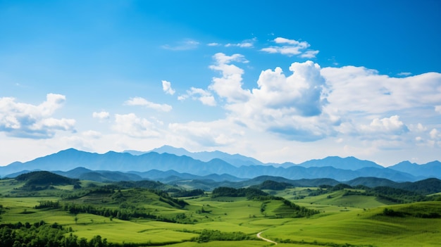 Um campo verde com uma estrada de terra no meio