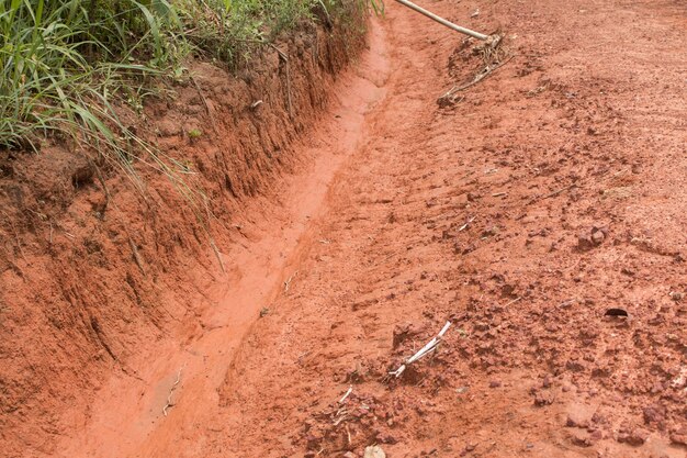 Foto um canal de irrigação em uma fazenda rural da tailândia.