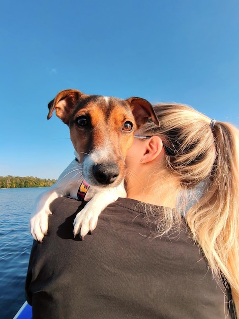Um cão da raça Jack Russell terrier olha por trás do ombro de uma mulher loira