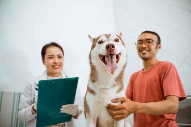 Um cão siberiano de pé em uma mesa de metal enquanto seu dono e o veterinário estão atrás