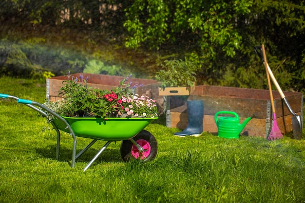 Um carrinho de mão cheio de solo lindo arranjos de jardim Conceito de fundo para jardinagem