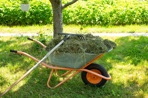 Um carrinho de mão de jardim fica no quintal de uma fazenda. ferramentas adicionais próximas.