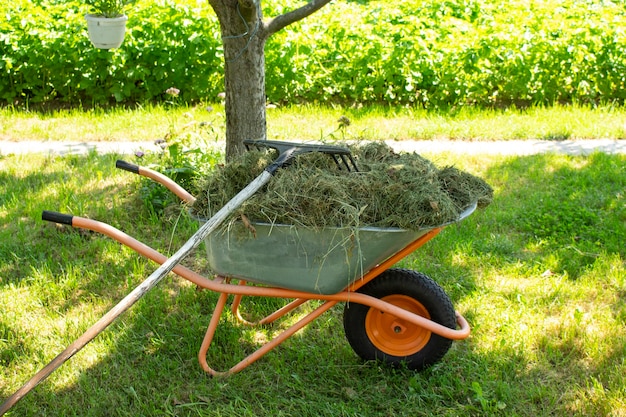 Um carrinho de mão de jardim fica no quintal de uma fazenda. Ferramentas adicionais próximas.