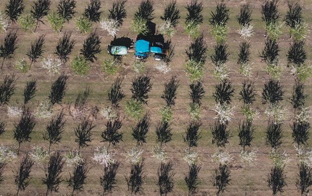 Um carro azul está estacionado em um campo com um veículo azul em primeiro plano.